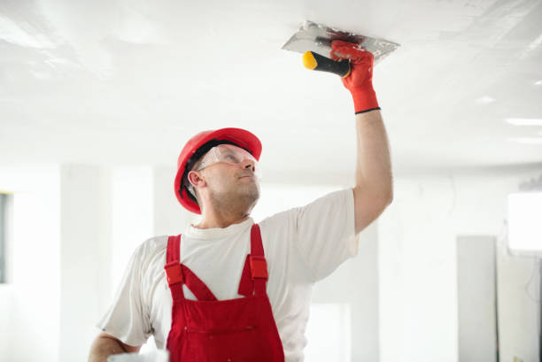 Best Fire-Damaged Drywall Repair  in Milton, FL